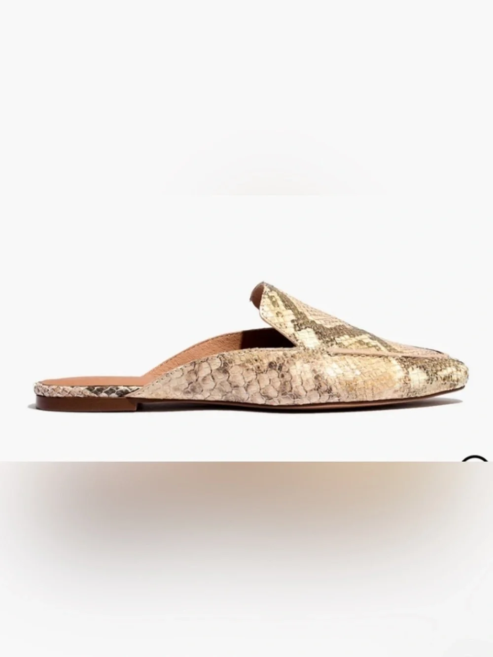 Madewell- The Frances Skimmer Mule in Snake Embossed Leather 9